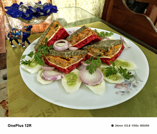 Stylish and fancy breadless Sandwich